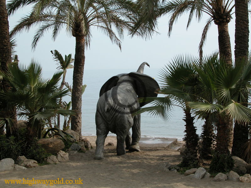 Elephant 'Shower'
