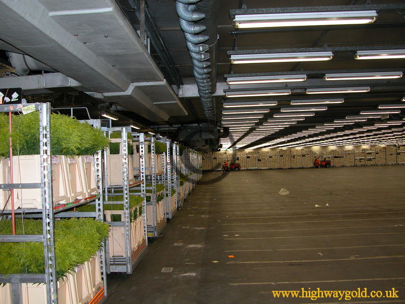 FloraHolland