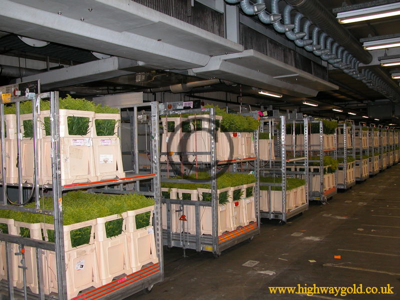 FloraHolland