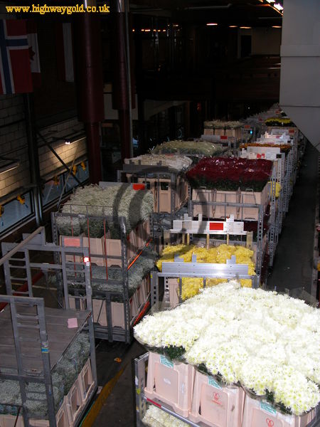 FloraHolland