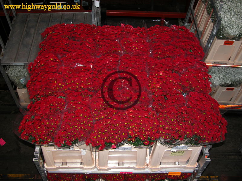 FloraHolland