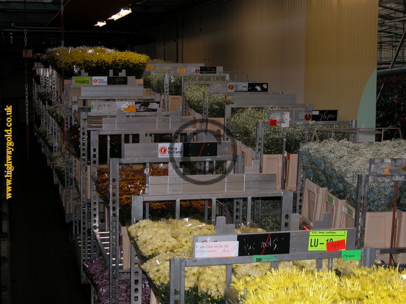FloraHolland