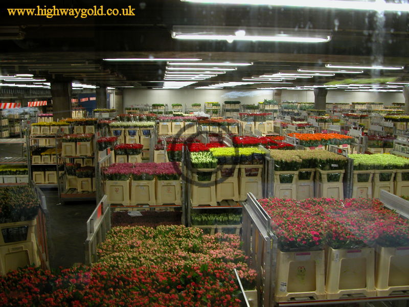 Flower Auction Warehouse