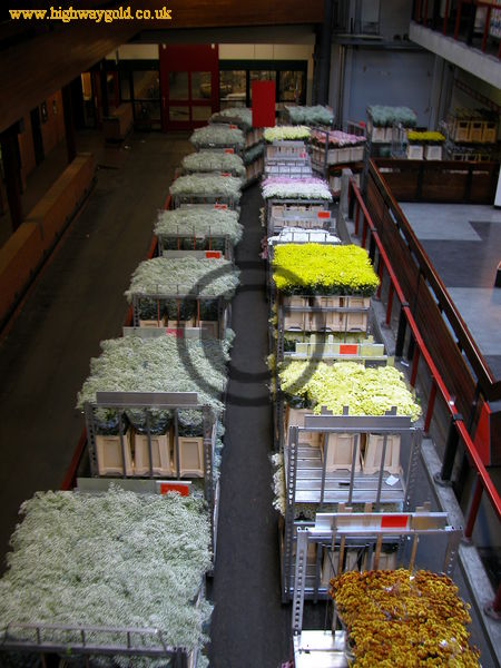FloraHolland
