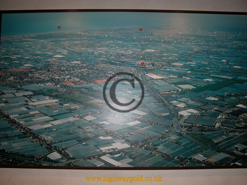 Aerial view of the area