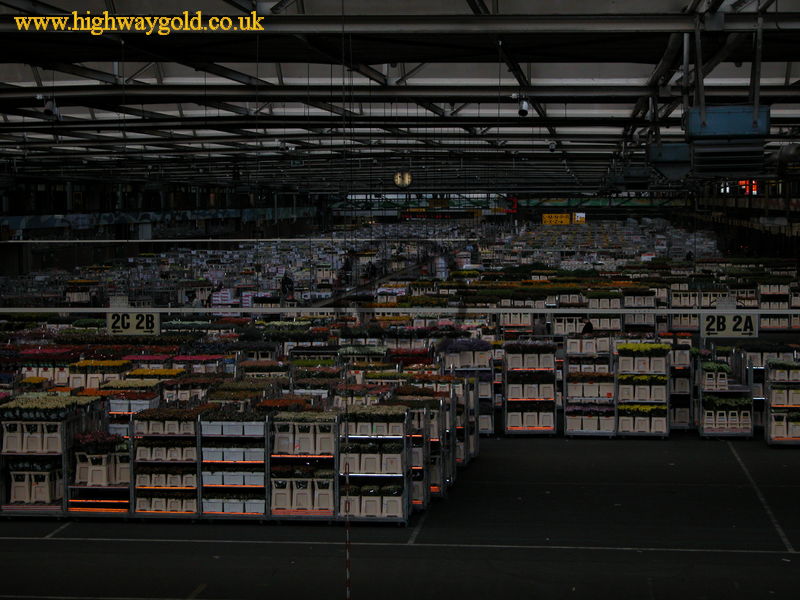 FloraHolland
