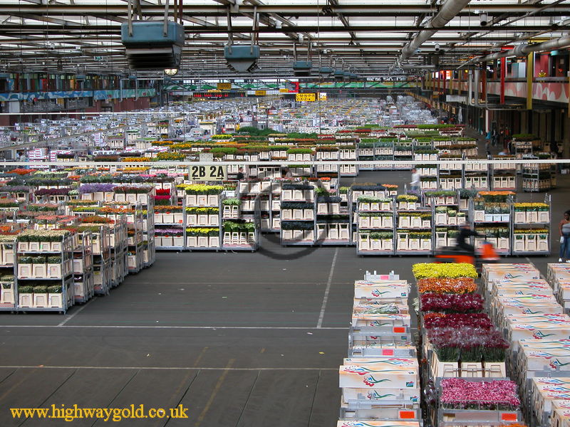 Flower Warehouse