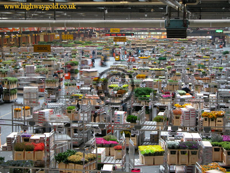 FloraHolland