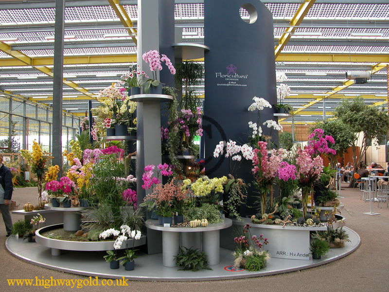 Orchid Display