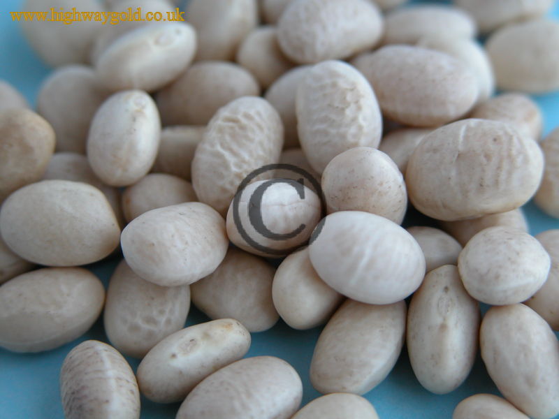 Haricot Beans