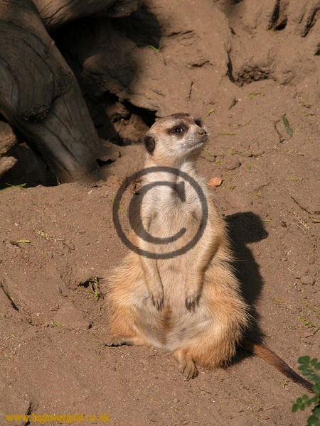 Sitting down on the job