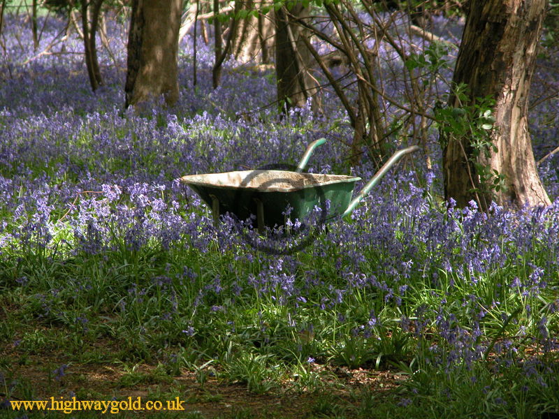 The Wheelbarrow