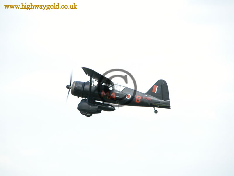 Westland Lysander III