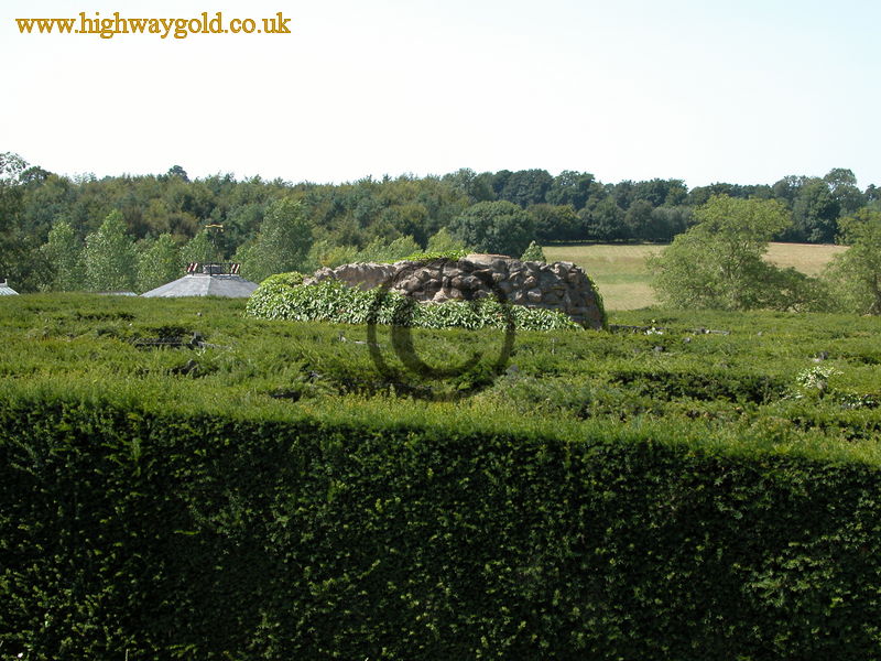 The Maze