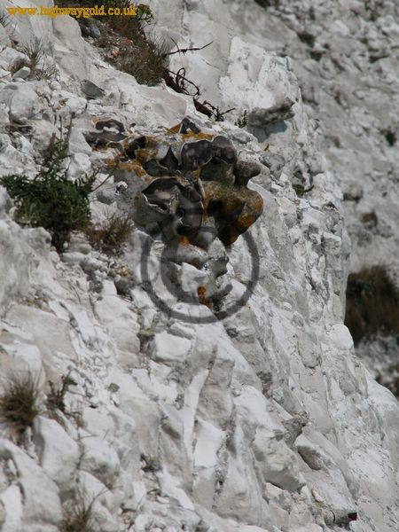 White Cliffs of Dover