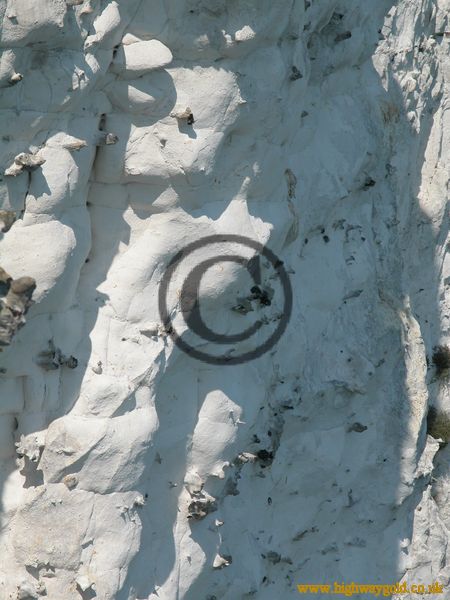 White Cliffs of Dover