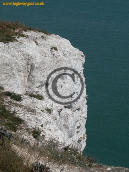 White Cliffs of Dover