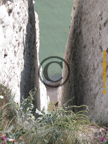 White Cliffs of Dover