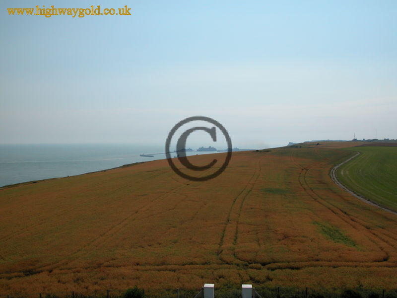 View from the Lighthouse