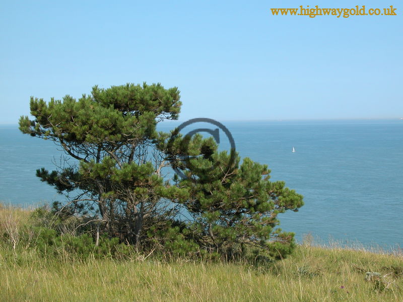 White Cliffs of Dover