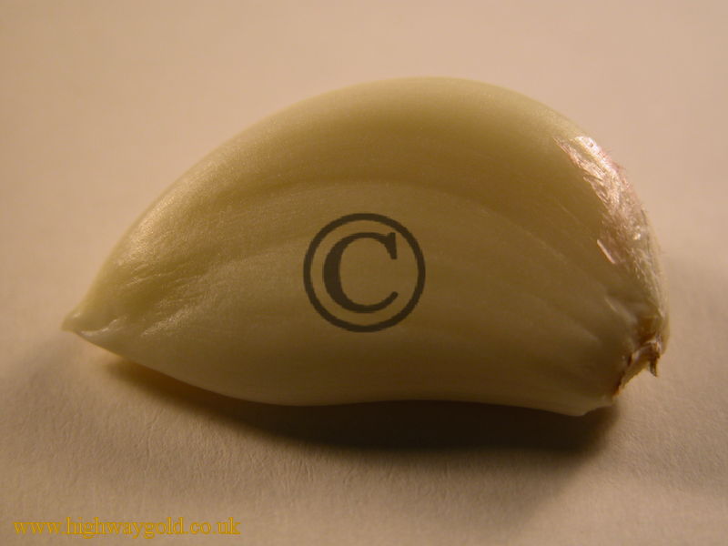Garlic Clove
