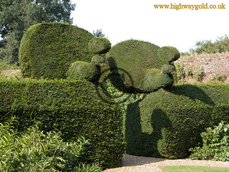 Peacock Topiary