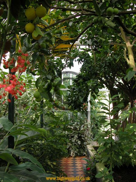 Orangery