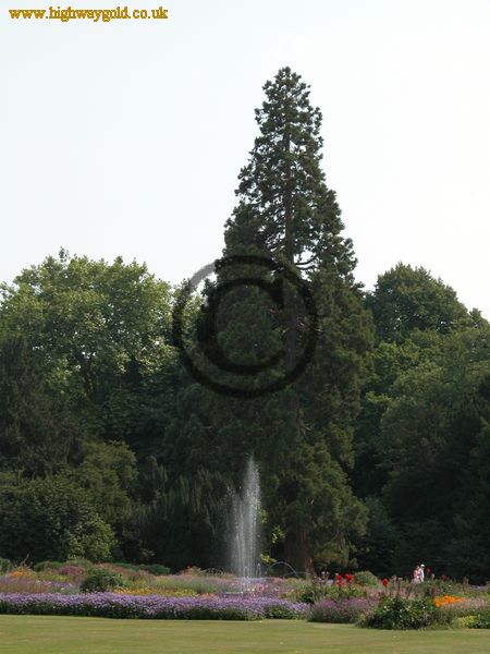 Parterre