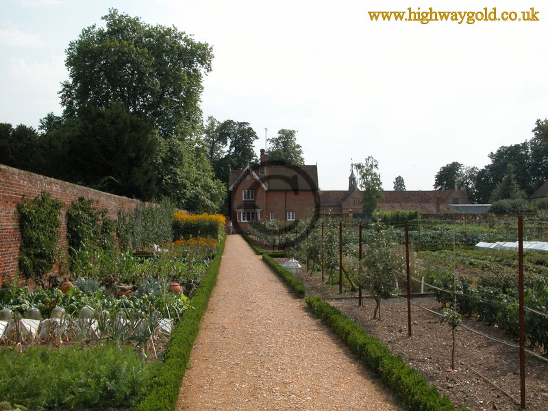 Organic Kitchen Garden