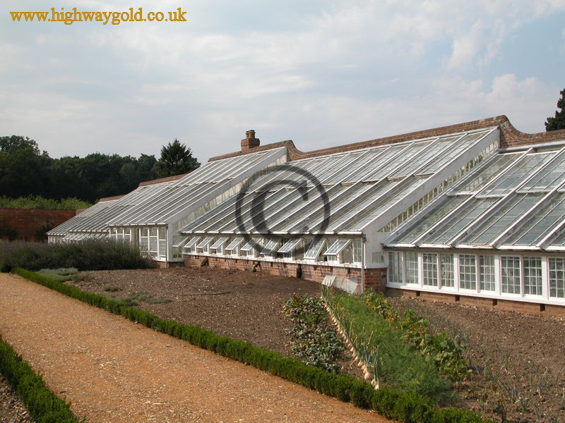 Organic Kitchen Garden