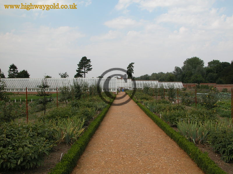 Organic Kitchen Garden
