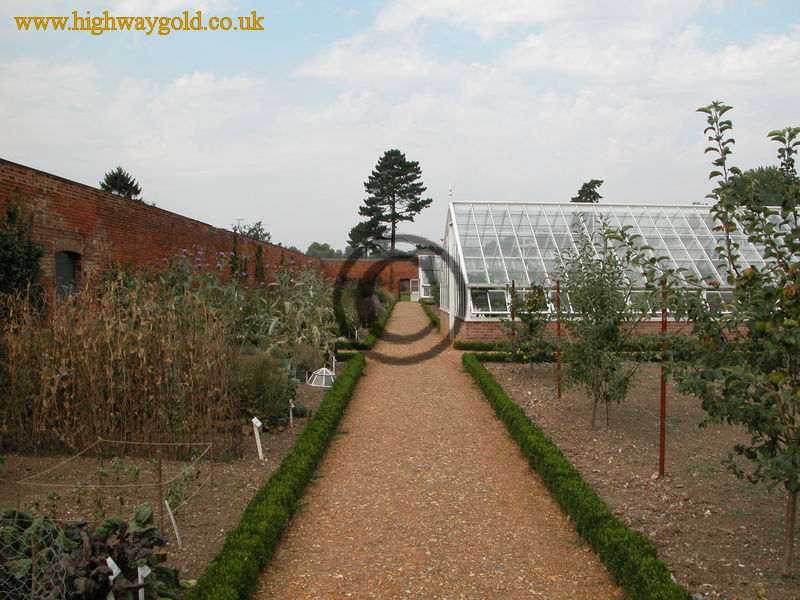 Organic Kitchen Garden