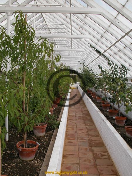 Organic Kitchen Garden