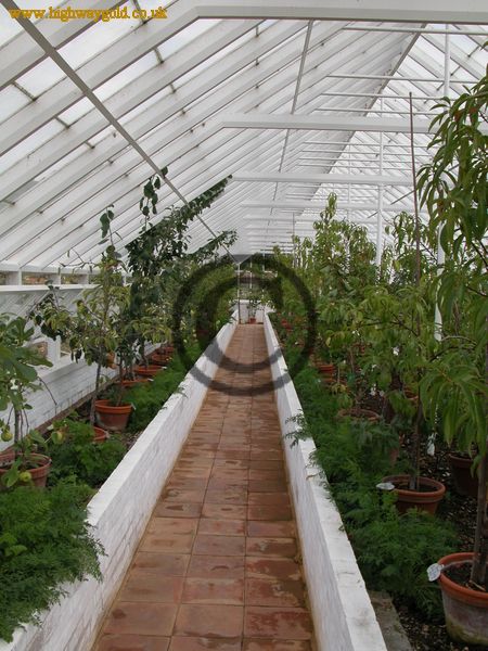Organic Kitchen Garden