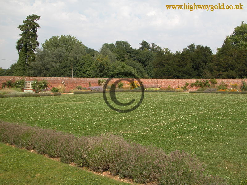 Organic Kitchen Garden