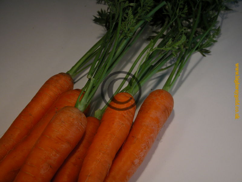 Carrots