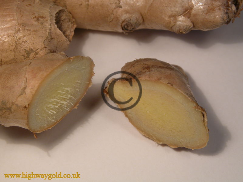 Ginger Root