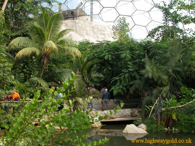 Humid Tropics Biome