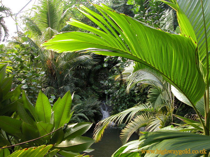 Humid Tropics Biome