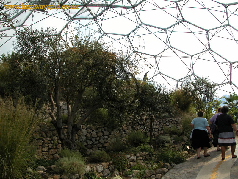 Warm Temperate Biome