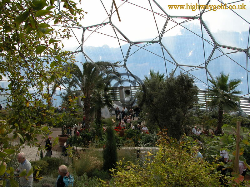 Warm Temperate Biome