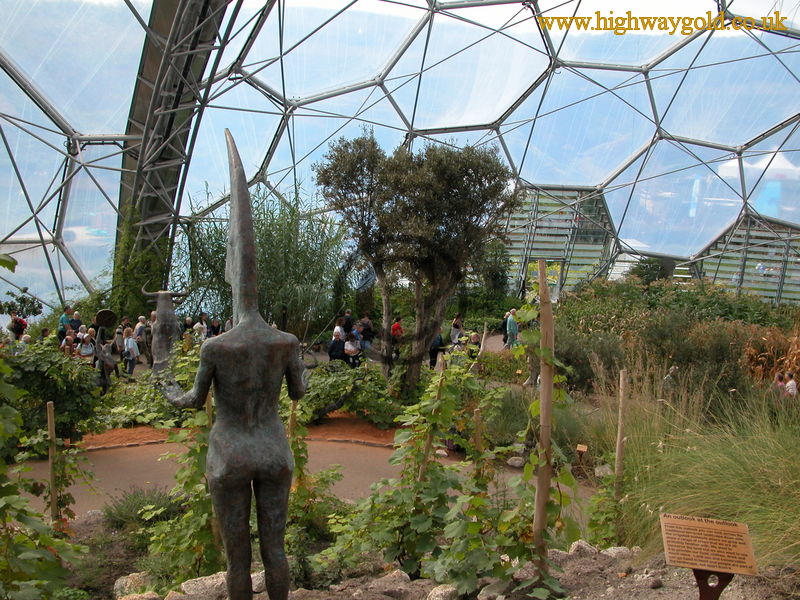 Warm Temperate Biome