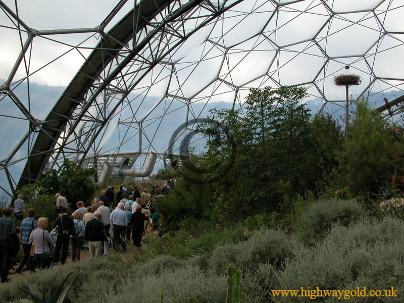 Warm Temperate Biome