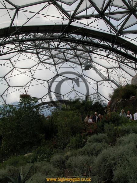 Warm Temperate Biome