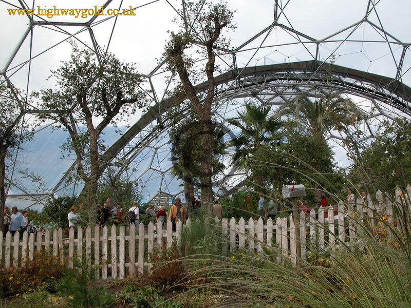 Warm Temperate Biome