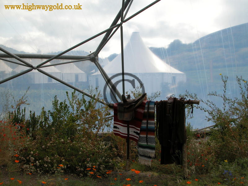 Warm Temperate Biome