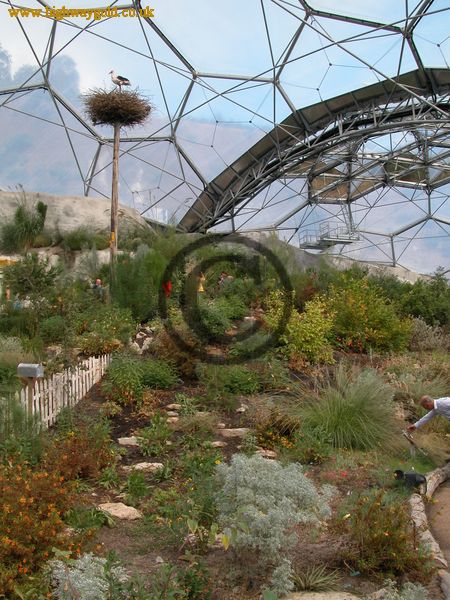 Warm Temperate Biome