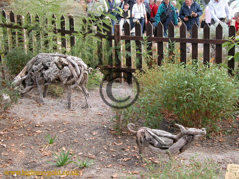 Warm Temperate Biome