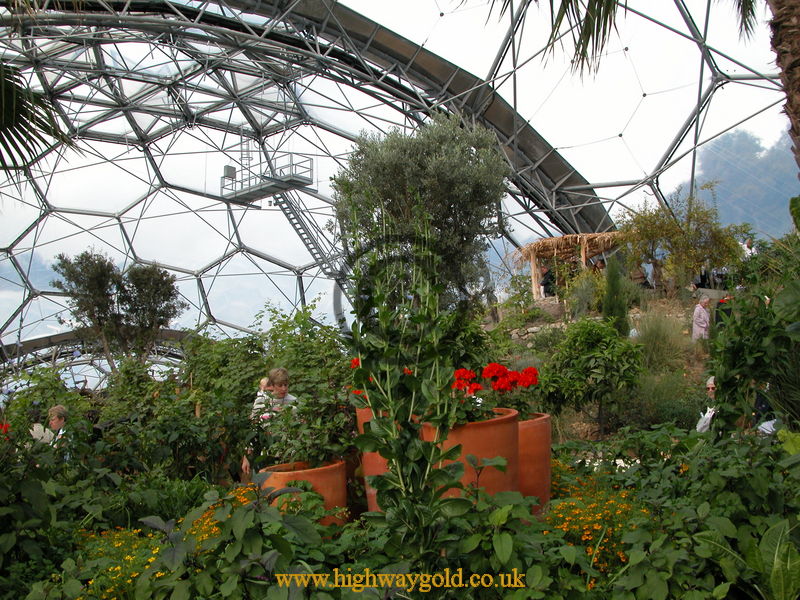 Warm Temperate Biome