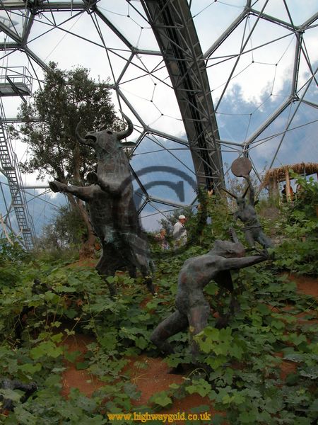 Warm Temperate Biome